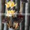 2016 New Artificial water lily Wholesale Home Decoration Garden Decoration Cheap Natural Dried Lotus Artificial Flowers