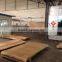 HDF/MDF WOOD DOOR SKIN