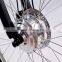Electric bicycle (Model SEB300U)