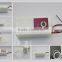 TCB-115 ozone generator for washing machine AC110V
