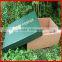 Convenient Design Cheap Green Corrugated Fresh Fruit Packaging Box for Sale