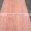 3x7,3x6,4x7,4x6 natural BNG veneer thickness 0.30mm