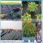 High Quality pp Black Weed Mat , Plain Woven 12x12 Mesh Plastic Weed Mat , Polypropylene Weed Blanket / Weed Mat / Ground Cover