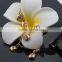 Luxury Metal Stainless Steel Chain Coloful Charms Zircon Anklet