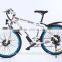 Factory 250W brushless best mountain e bike 7 gears with 26" tire