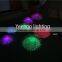 dia600mm new arrivals fiber optic lawn lamp for outdoor /indoor use