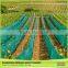 Buy Direct From China Factory Diamond Holes Apple Tree Anti-Hail Nets