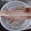 Well trimmed frozen fish fillet
