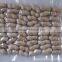 Shandong Peanuts in Shell Peanut Factory