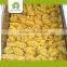 yellow fresh potato price per ton
