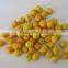 top quality hot sell opular snakes fried peanut rice crakers