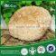 Every size Dried Organic Food, Hericium Erinaceus, Edible Mushroom