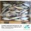 Frozen sardine fish price