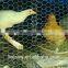 Wholesale Hexagonal poultry wire netting for sale