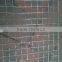 1/2'' 16 gauge galvanized welded wire mesh for plaster wall