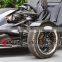 3 Wheel Racing Roadster 250cc ZTR Trike Roadster