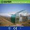 agriculture polyethylene film/agricultural equipment greenhouses/agriculture black plastic film