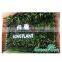 vertical garden green wall module artificial hanging wall planter,GreenSun vertical wall planter pot,flower pot,garden flower po