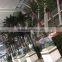 Artificial tall palm tree for airport public decoration