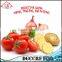 Reliable Factory Tomato Holder Clip Slicer Knife Vegetable Onion Lemon Kitchen Cutter Tool