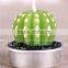 Cactus and Grape Plant Birthday Scented Candle