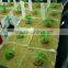 hot sales hydroponic rock wool / hydroponic grow systems