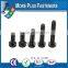 Made in Taiwan Black White Nylon Round Phillips Slotted Plastic Round Head Screw