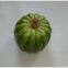 Artificial pumpkin,Artificial vegetable