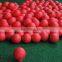Red Indoor Outdoor Training Practice Golf Sports Elastic PU Foam golf Ball