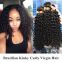 Double Layers Brazilian Curly Human Hair Loose Weave Bright Color 24 Inch Long Lasting