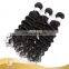 New Arrived Tangle Free Human Hair Indian Remi Kinky Curly