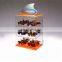 eyewear store optical frames countertop acrylic sunglass display case
