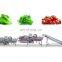 1000kg spinach cutting washing drying processing line