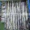 runhe sea frozen eel fish fillet frozen conger eel fillet 90-200g head off tail off gutted off