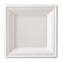 10”Hot Selling Party Restaurant Eco-Friendly Disposable Biodegradable Plates Sugarcane Bagasse Square Plates(500/ Case)