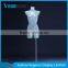 half body transparent fiberglass female torso mannequin