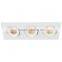 3*8W IP54 rotatable rectangular dimmable led ceiling light, rotatable led downlight,cob ceiling light