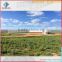 environmental controlled automatic prefabricated broiler poultry farm houses design