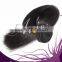 wholesale double wefts grade 7a virgin brazilian human hair sew in weave