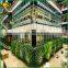 Wholesale large artificial green wall system for home garden