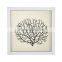 Framed Sea Fans Wall Shadow Box Art