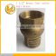 2" foot valve ,brass check valve,heating and air-conditioning plants