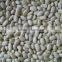 Cninese Small white kidney beans for sale