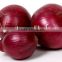 Supply Fresh red onion with good quality for sale