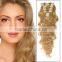 clips on hair/clips in hair/human hair extensions/hair products