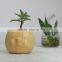 Hotsale China Fashion Pottery Flower Pot