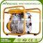 5.0hp Gasoline Engine Water Pump, Roobbin EY20 Engine Water Pump for Sale