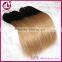 Soft Smooth factory supply straight two tone hair extension ombre colored hair weave