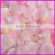 pink rose petals
