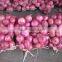 Chinese fresh onion 2016 export to dubai
